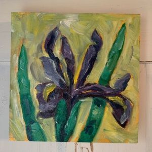Original oil painting Iris 6x6 Floral